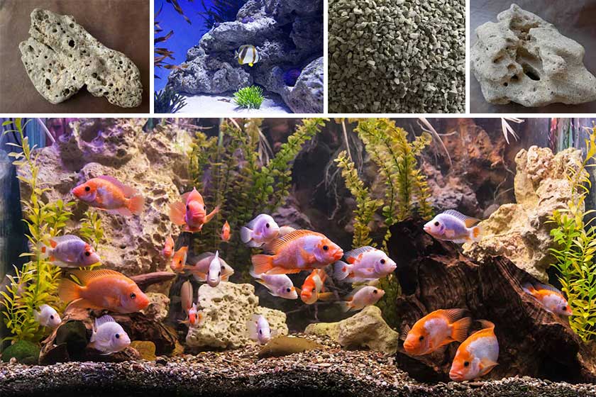  Limestone_Aquarium