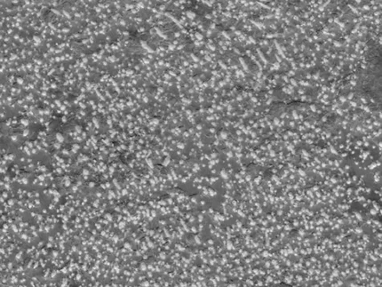 Pietra Grey Marble-Bushhammered & Brushed-Tile