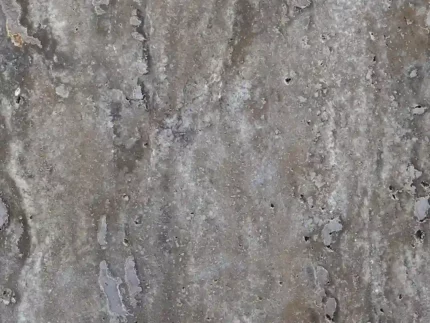 Silver Travertine-Cross Cut-Honed-Tile