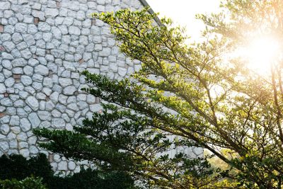 blog 5 Climatic Conditions